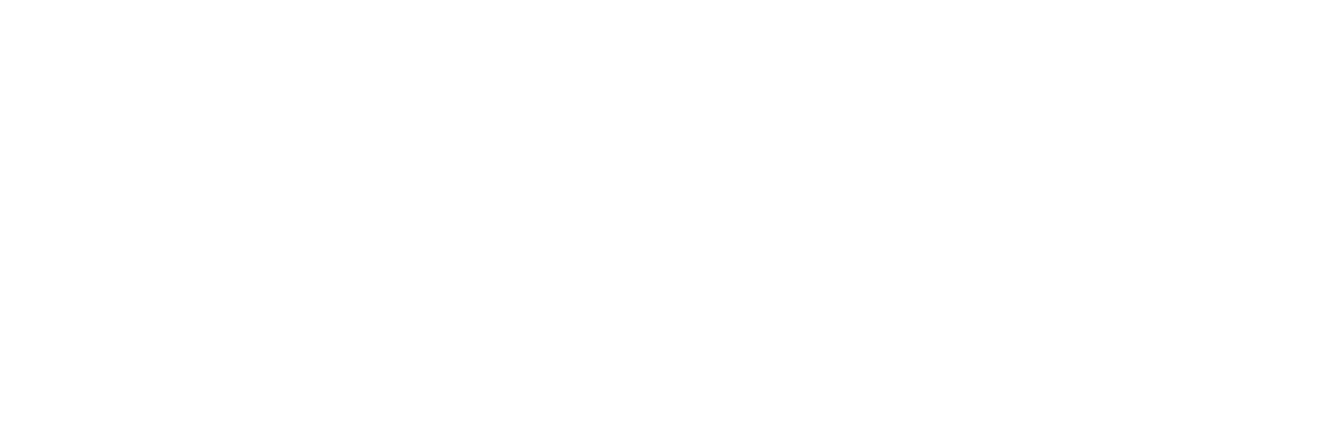 Modly